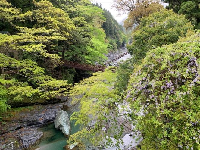 Iya Kankou Ryokan Miyoshi  Extérieur photo