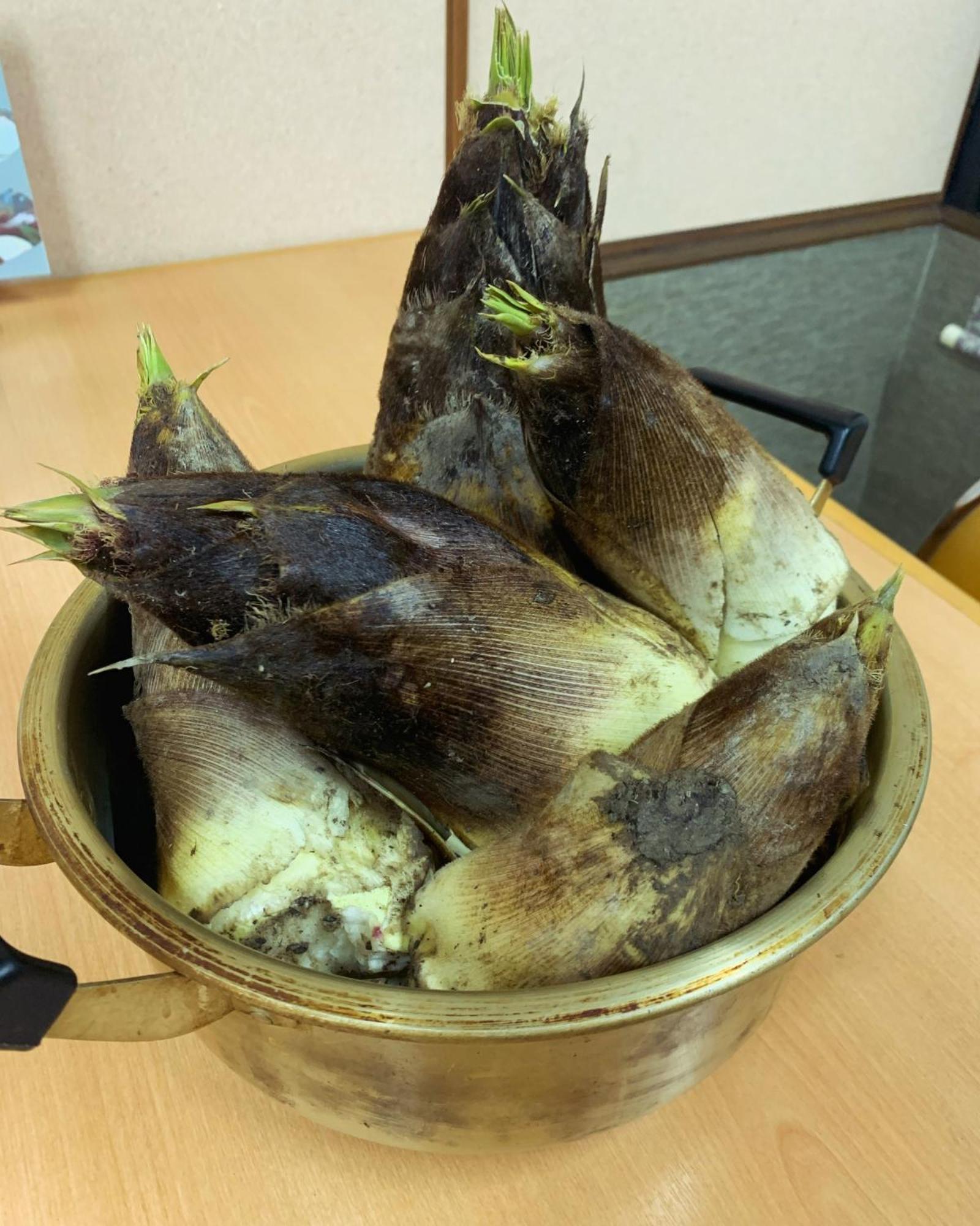 Iya Kankou Ryokan Miyoshi  Extérieur photo